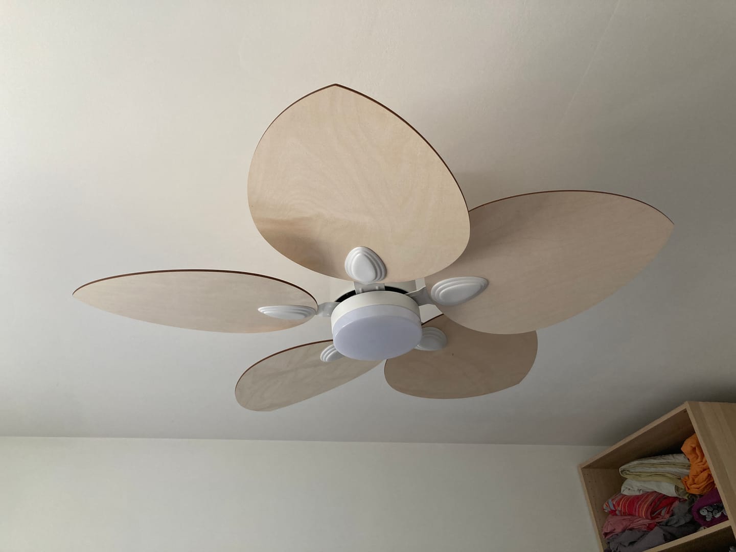 Customer photo review of Dahlia | Ventilateur de plafond