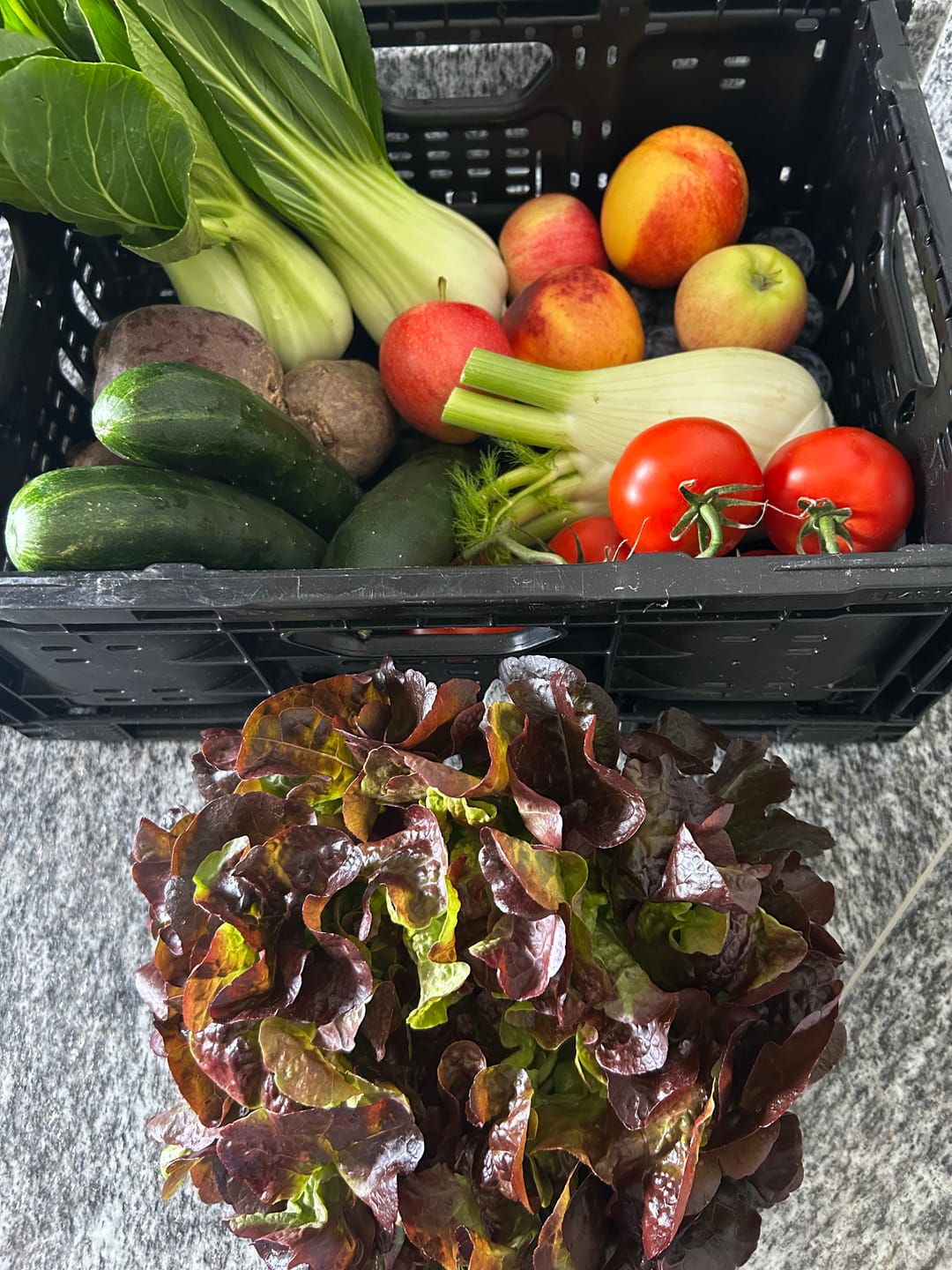 Customer photo review of Obst- und Gemüsechorb gemischt