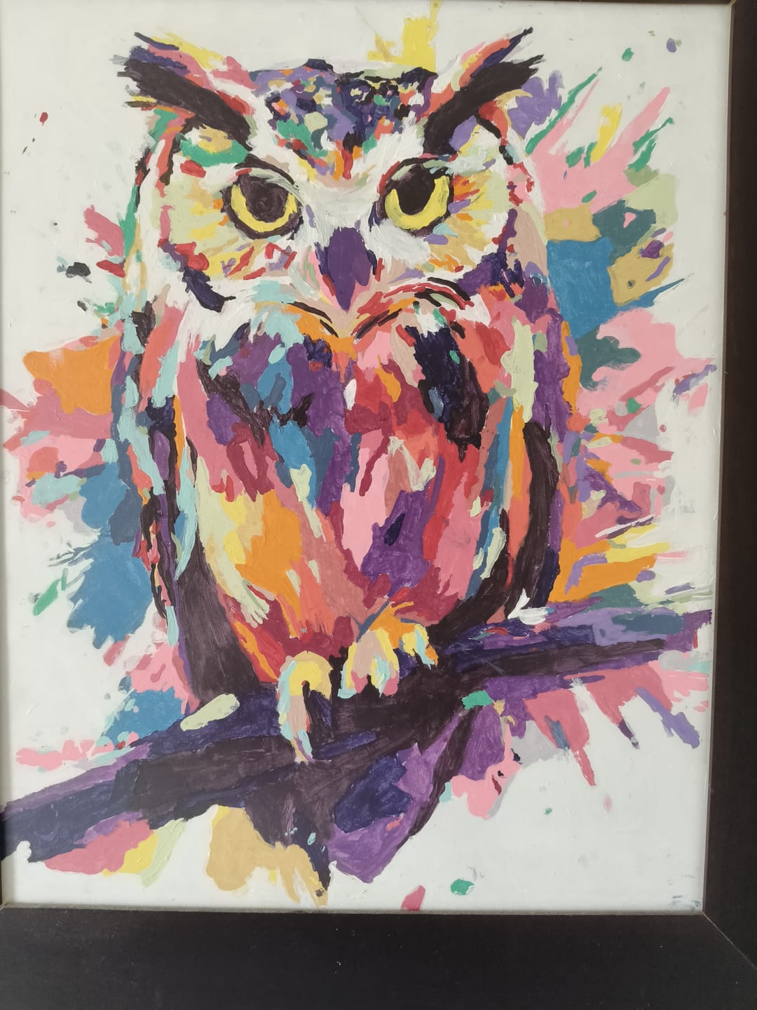 Customer photo review of Owl - Color Splash | Paint by Numbers