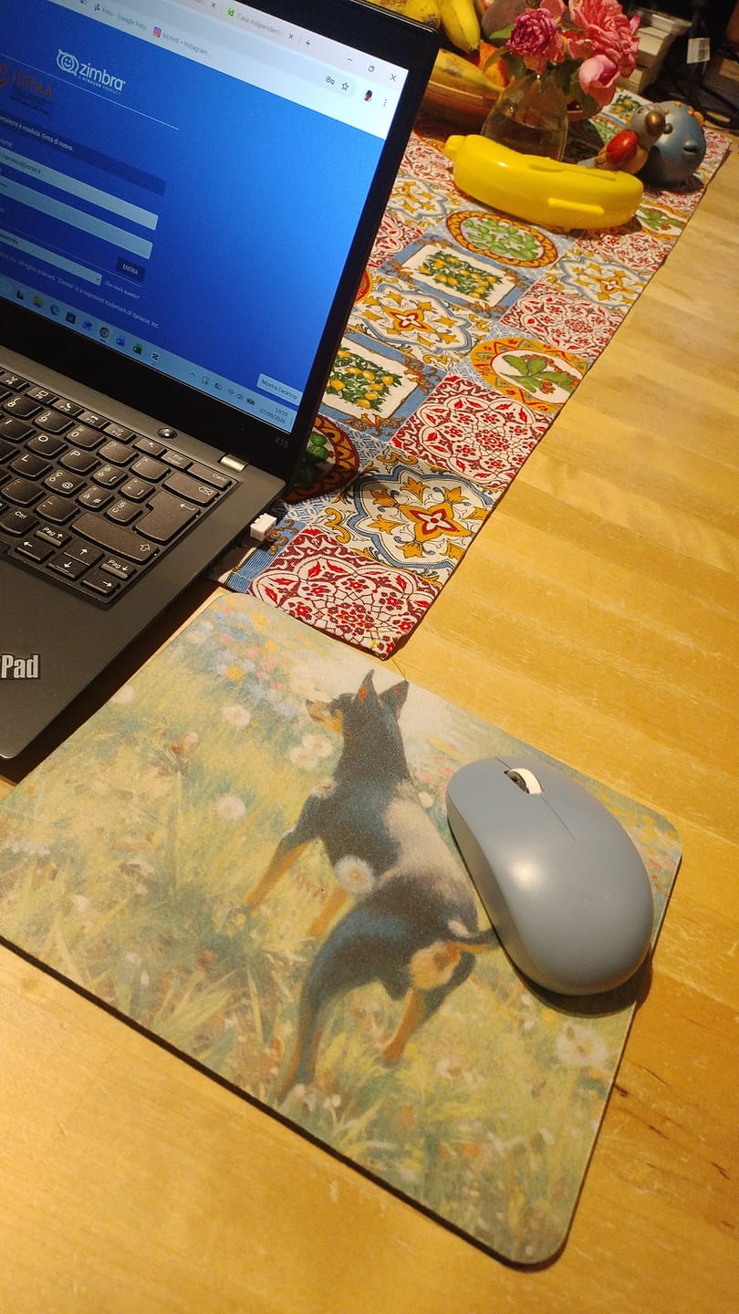 Customer photo review of Mousepad