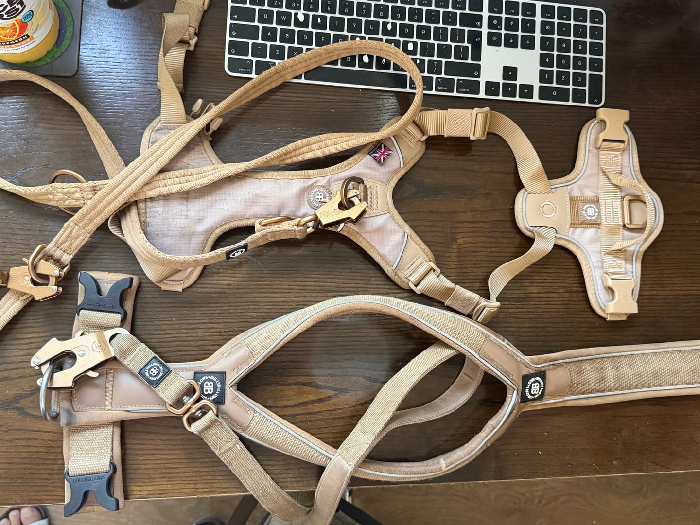 Customer photo review of Anti Pull Hurricane Harness Lighter | With Handle - Tan X Tan