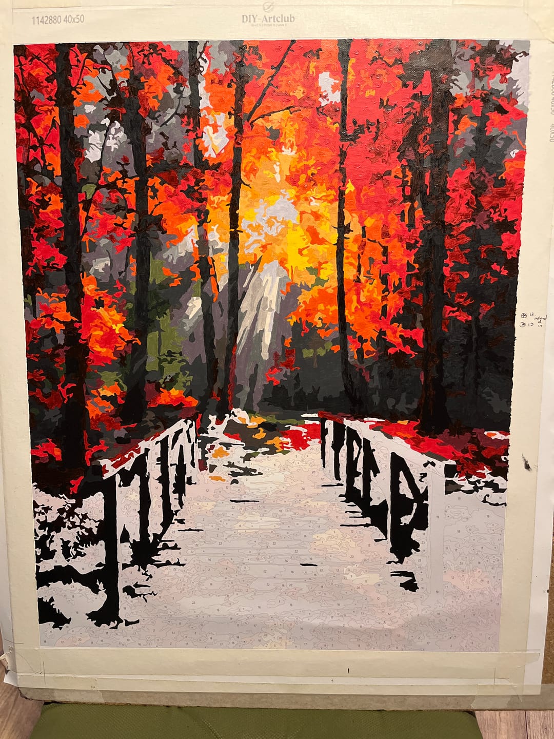 Customer photo review of Forest Glow | Paint by Number