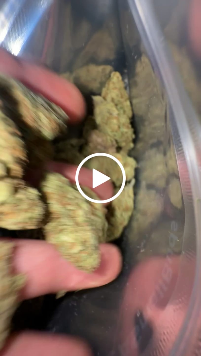 Customer video review of Strawberry Cough THCA Flower