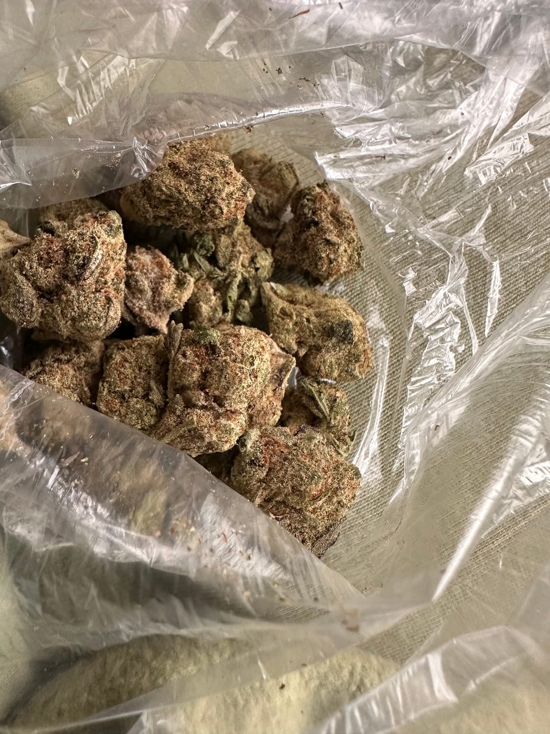 Customer photo review of Cranberry Kush - Bulk - Hybrid