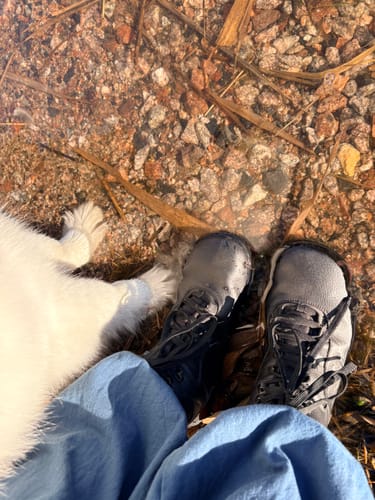 Reviewer's grey Vaistoa Uoma 2 paljasjalkavaelluskengät in shallow water next to dog paws.