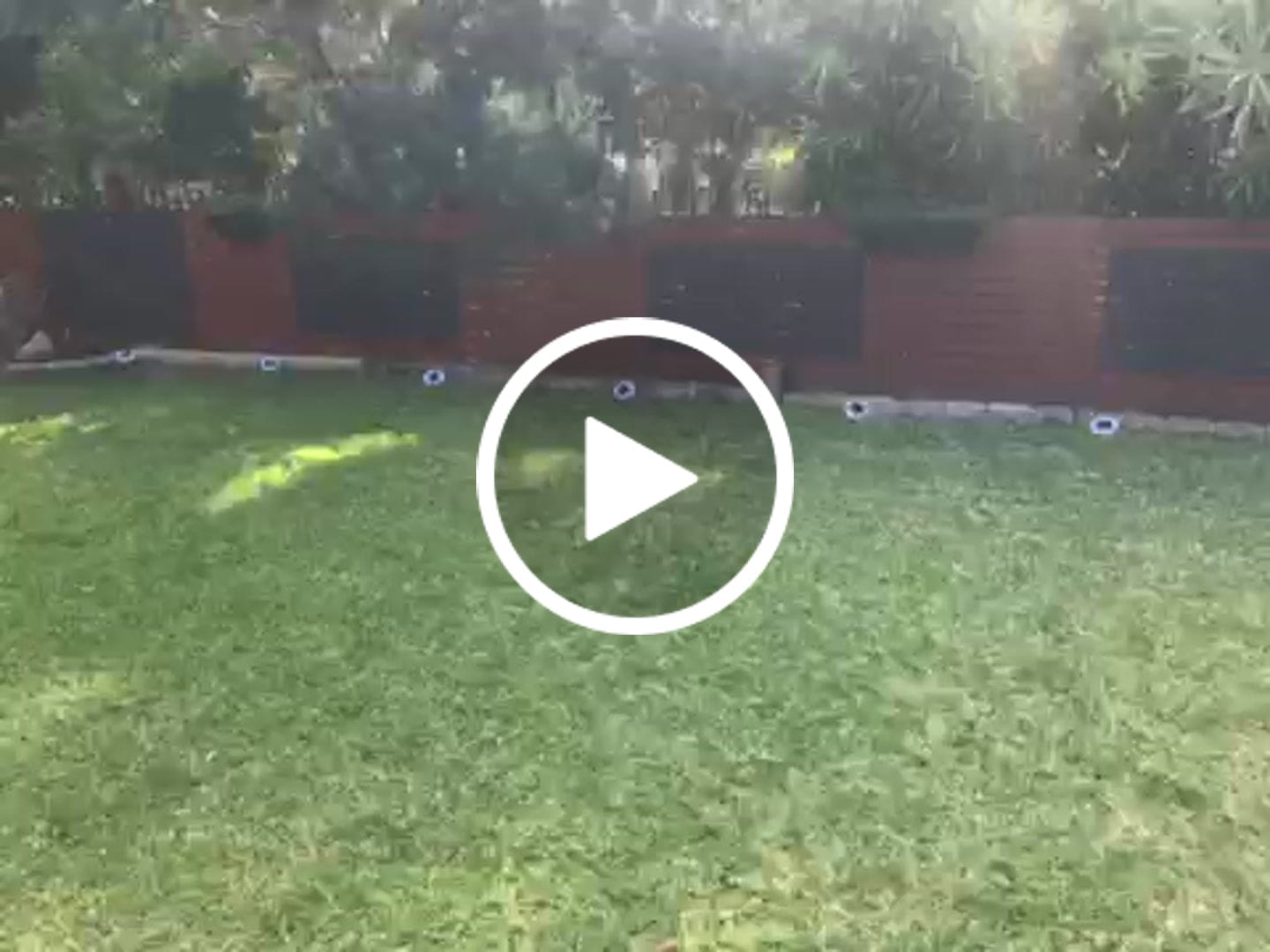 Customer video review of GardenBrite™ Rust-Proof Solar Ground Light Pack