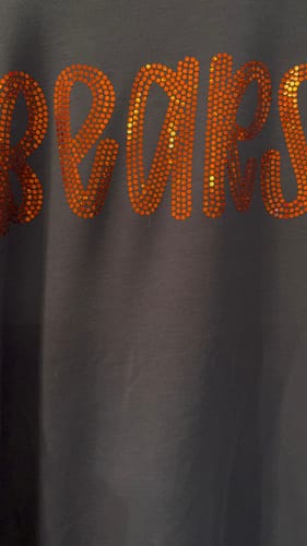Customer photo review of Bears Preppy SPANGLE Transfer