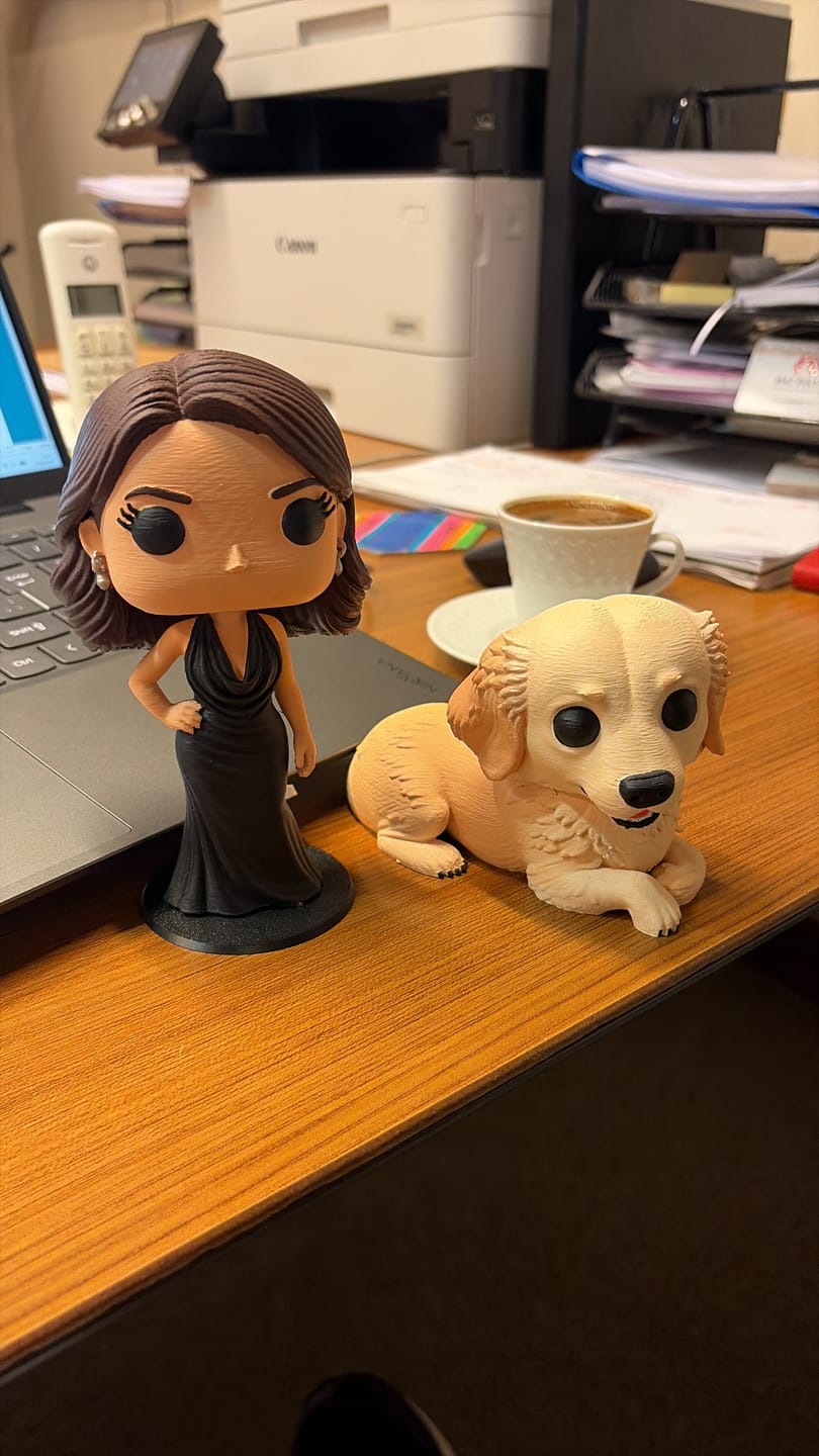 Customer photo review of Kişiye Özel Pofi Pop Figür 15 Cm