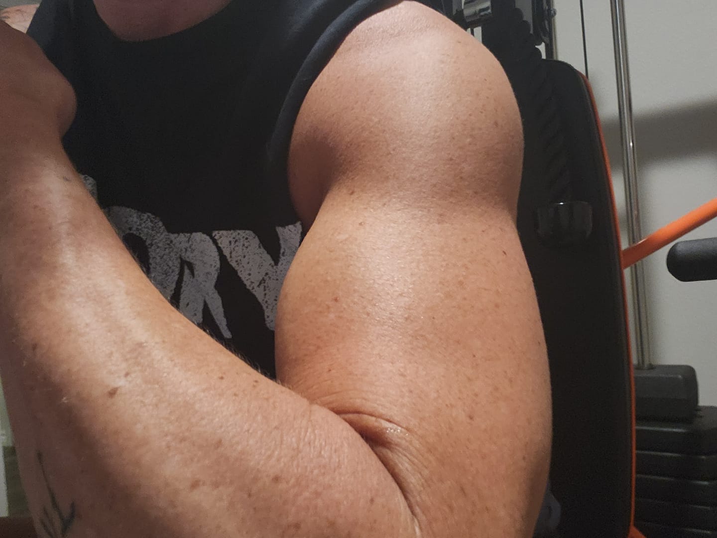 Customer photo review of End of Summer 8 Week Total Body Transformation Challenge 2026