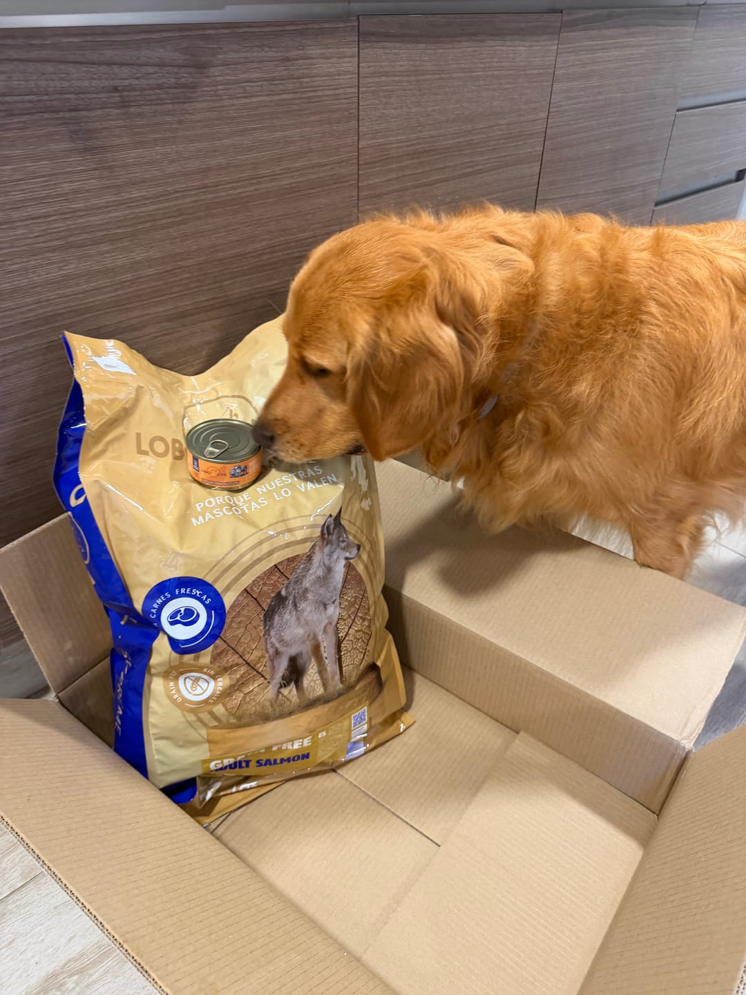 Customer photo review of Grain Free Adult Salmon