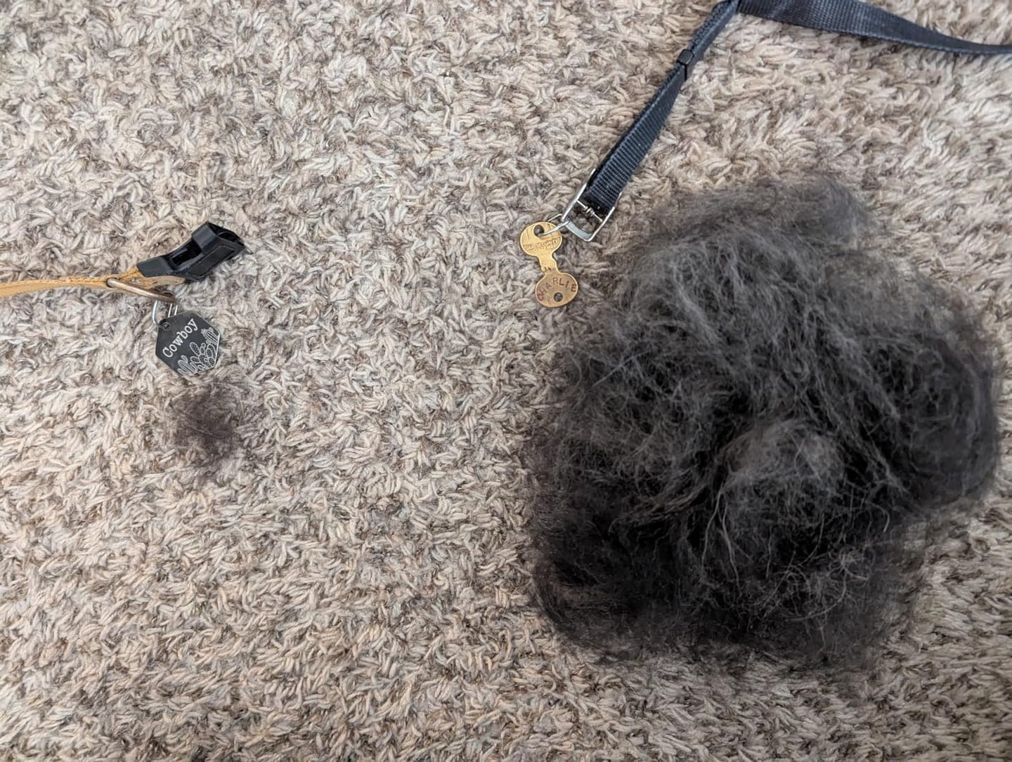 Customer photo review of CleanPaws™ Peluqueria Profesional en Casa