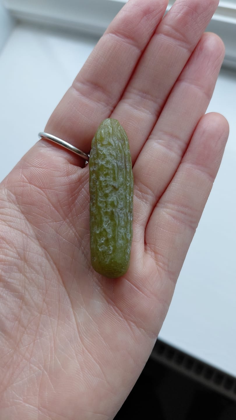 Customer photo review of Serpentine Pickle