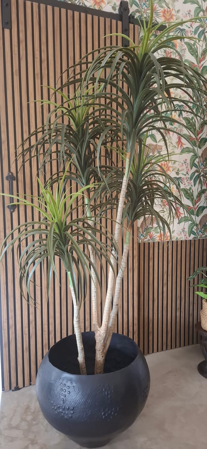 Customer photo review of Noxani Tribal Ornamental Vase | Pot Oversized