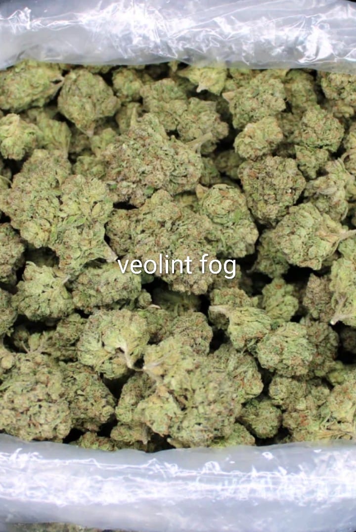 Customer photo review of THCA Queen