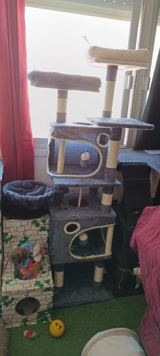 Customer photo review of Arbre à Chat 161cm – 7 Niveaux & Grande Stabilité