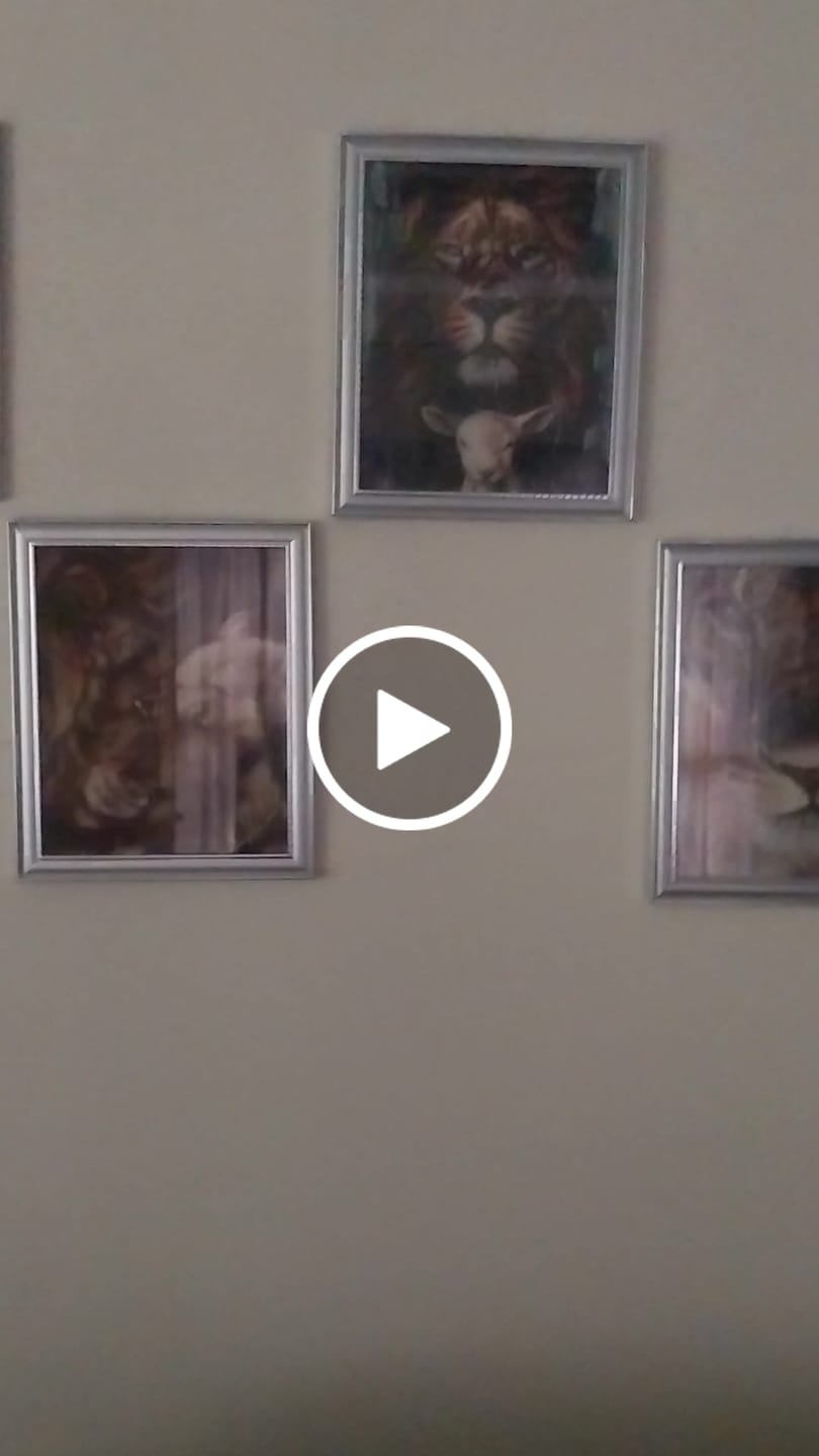 Customer video review of Watcher of the Sparrow - Sticker