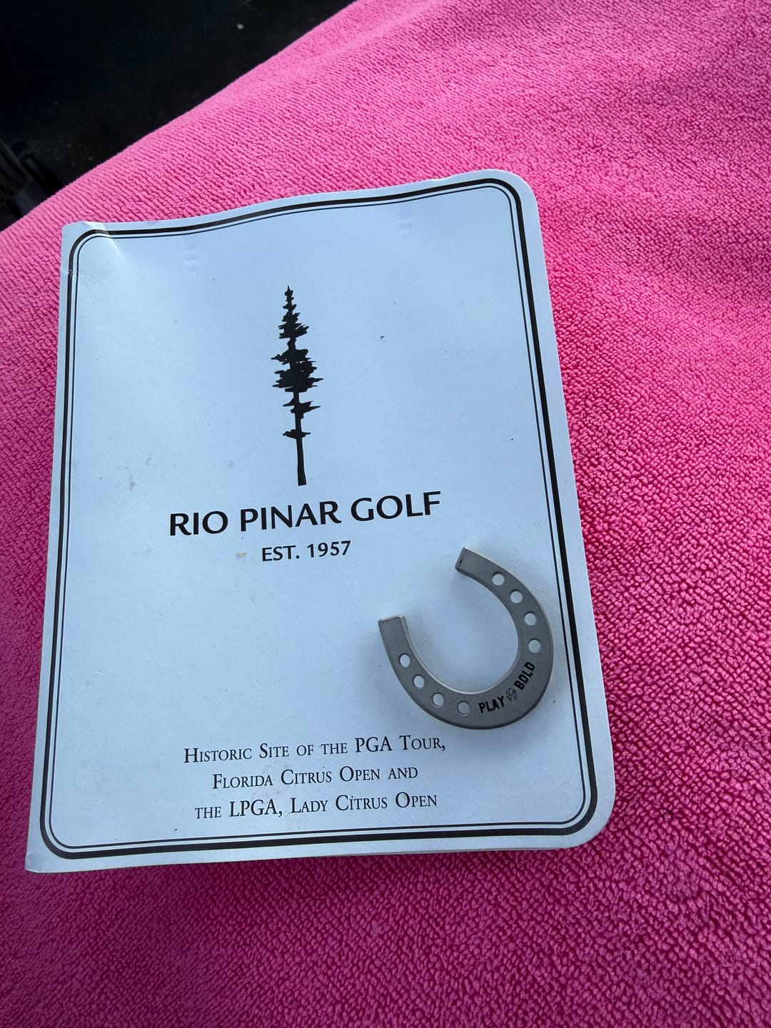 Customer photo review of PLAY BOLD LUCKY HORSESHOE MARKER - Stainless Steel
