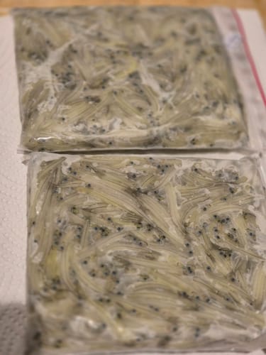 Customer photo review of Fresh Snapper Fillets 250G **FREE GIFT**