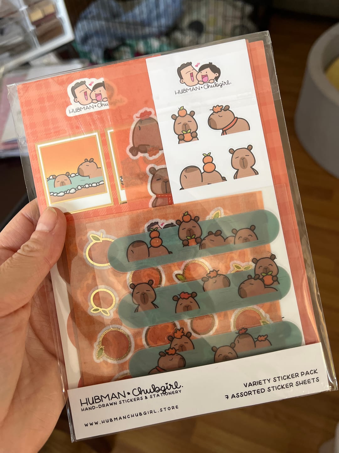 Customer photo review of Autumn Capybaras Variety Sticker Pack