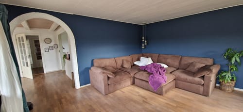 Customer photo review of Alva Cloudsofa midtermodul - Brun