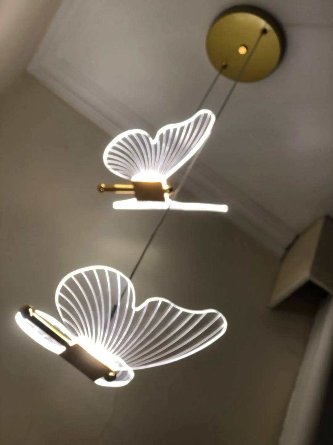 Customer photo review of Gold Pendant Light for Living Room, Butterfly Accents, 2 Heads