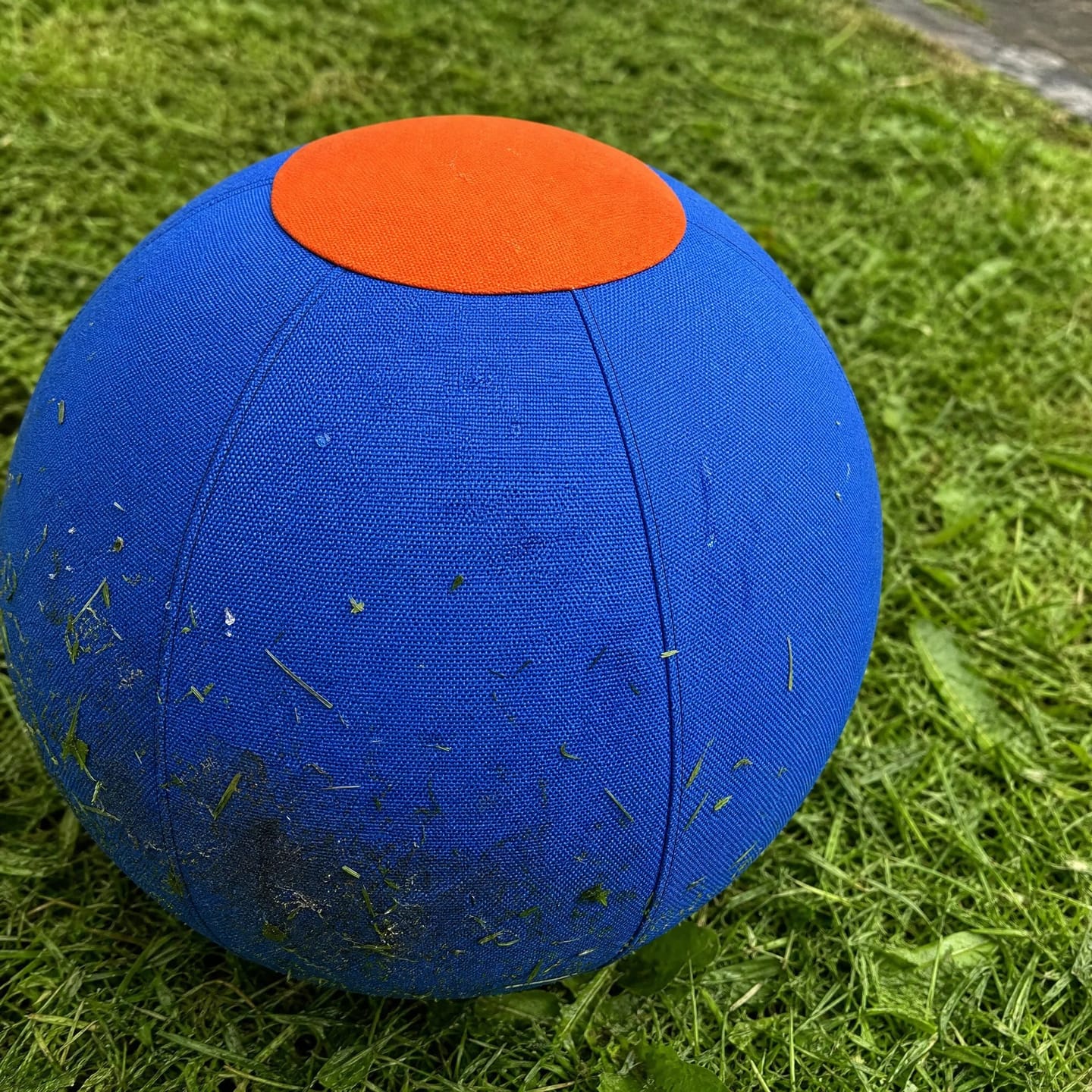 Customer photo review of DriveBall — Herding Ball for High-Drive Dogs, Zip-Close Oxford Cover, Replaceable Bladder
