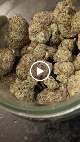 Customer video review of Cali Kush Flower (Buy 1 Get 1)
