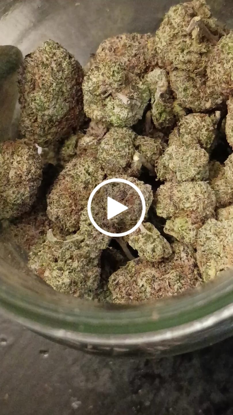 Customer video review of Cali Kush Flower (Buy 1 Get 1)