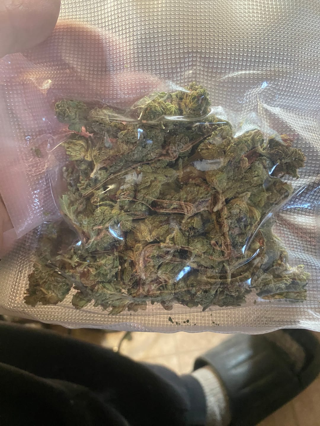 Customer photo review of Blue Lobster | THCA Flower Smalls