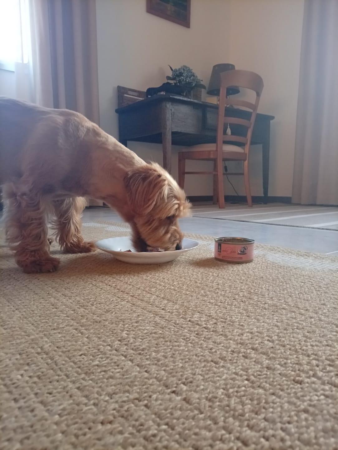 Customer photo review of Grain Free Adult Duck & Rabbit