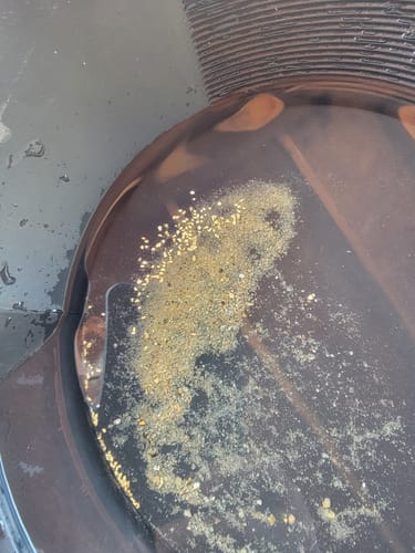 Customer photo review of 5 Lb. NUGGET RESERVE™ ‘Specimen Elite’ - Gold Paydirt
