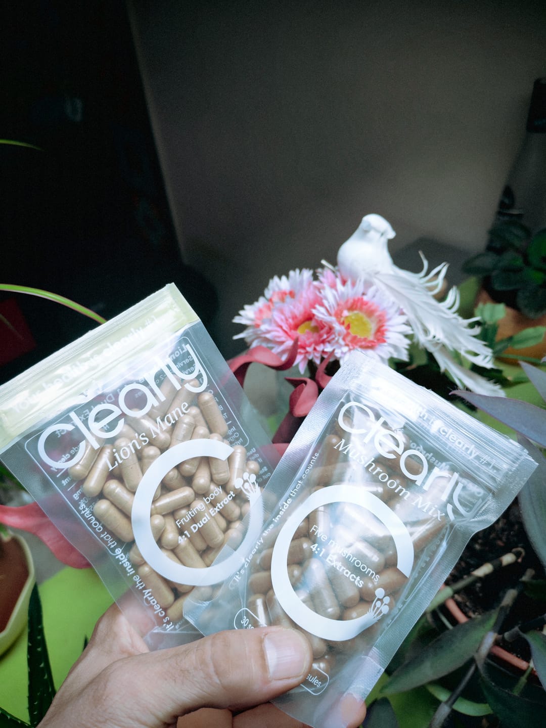 Customer photo review of Mushroom Mix