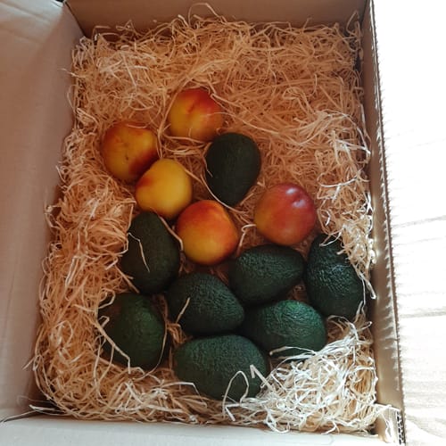Customer's Nektarinen gelb Bio in a shipping box with protective wood wool, mixed with dark green avocados.