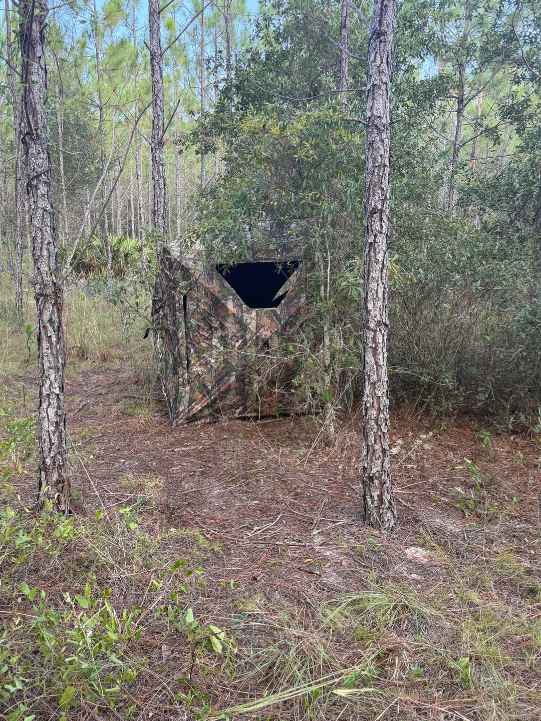 Customer photo review of VisST 270° See Through Ground Blinds | Pop Up Portable Blinds for 2 3 Person Deer Hunting with Silent Magnetic Door