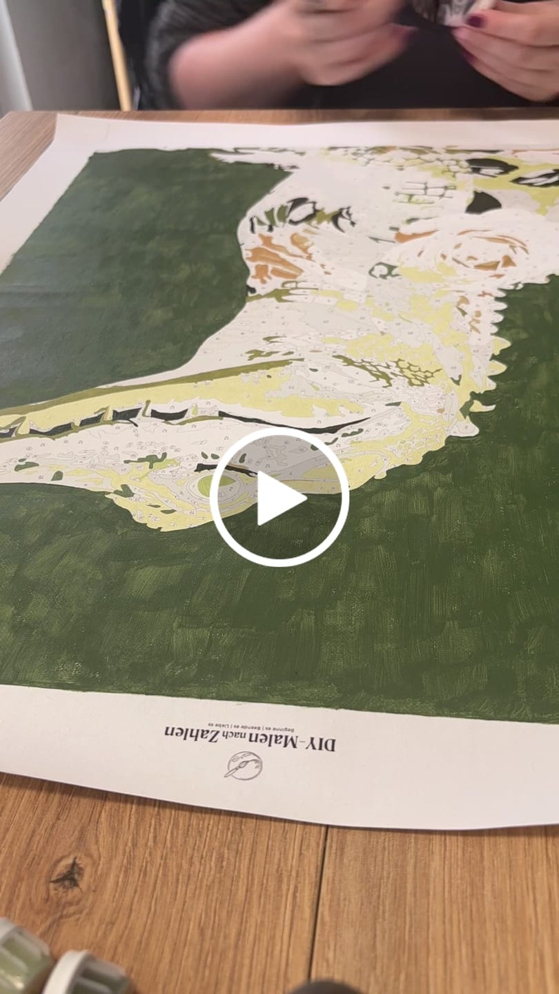 Customer video review of Malen nach Zahlen - Ein schicker Alligator