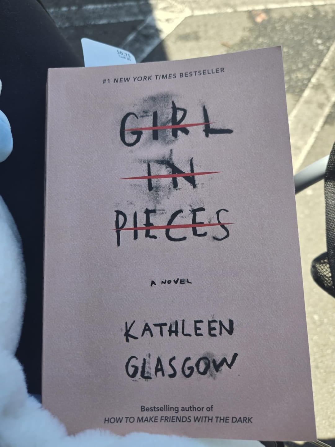 Customer photo review of Girl in Pieces