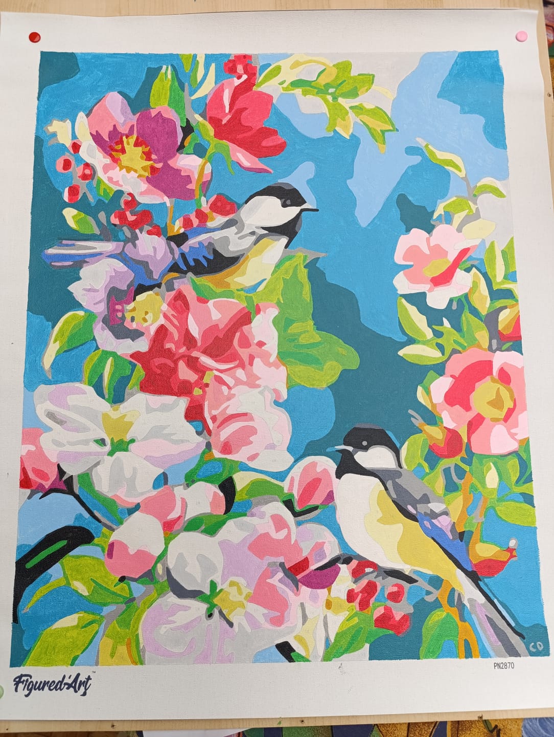 Customer photo review of Jolis oiseaux au Printemps