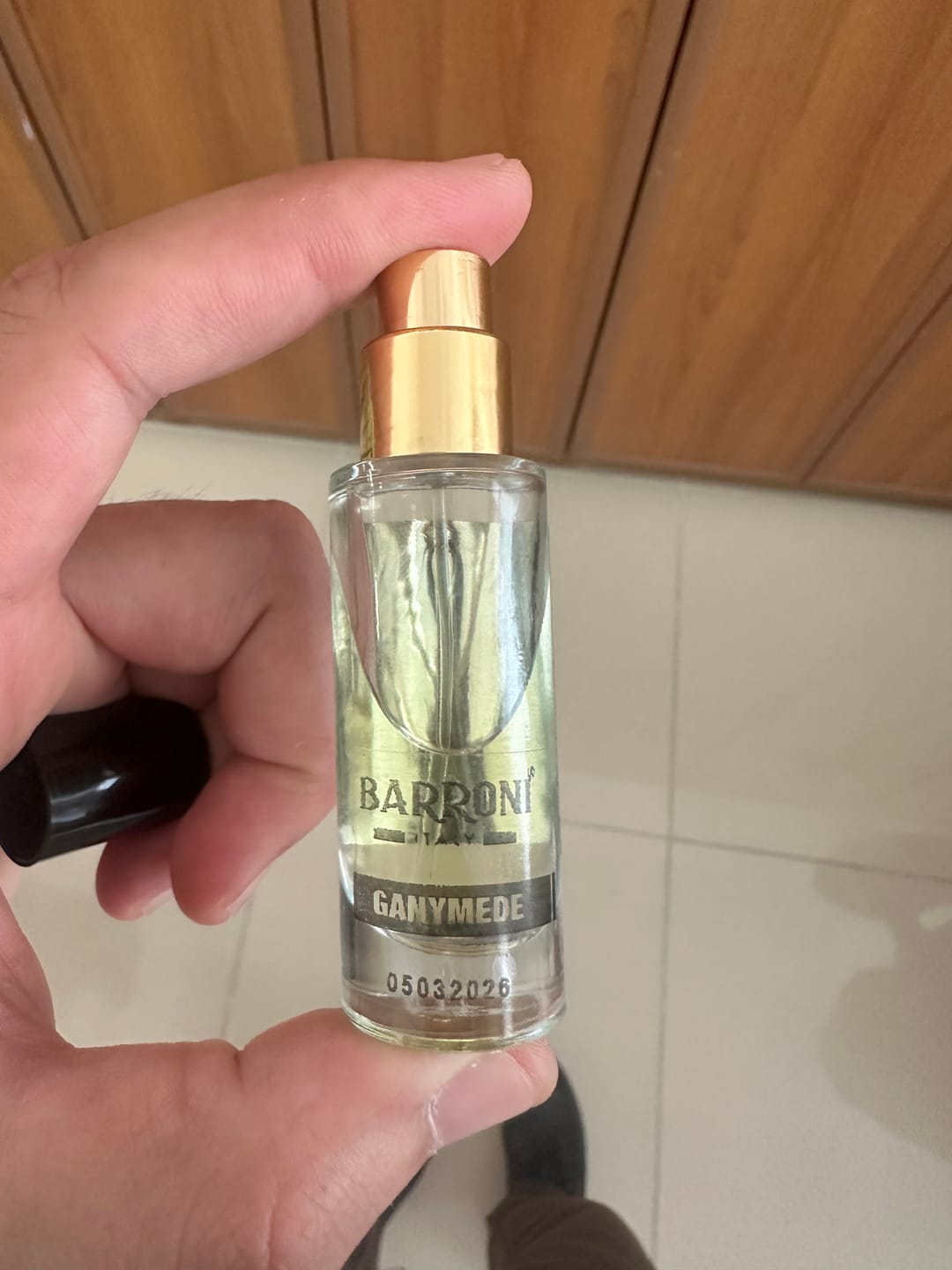 Customer photo review of GANYMEDE