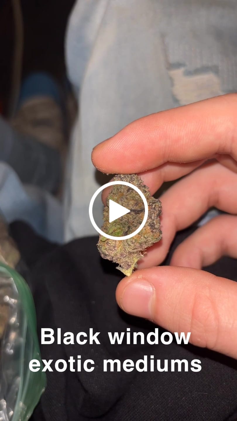 Customer video review of Cheap Indoor THCA Flower Ounce
