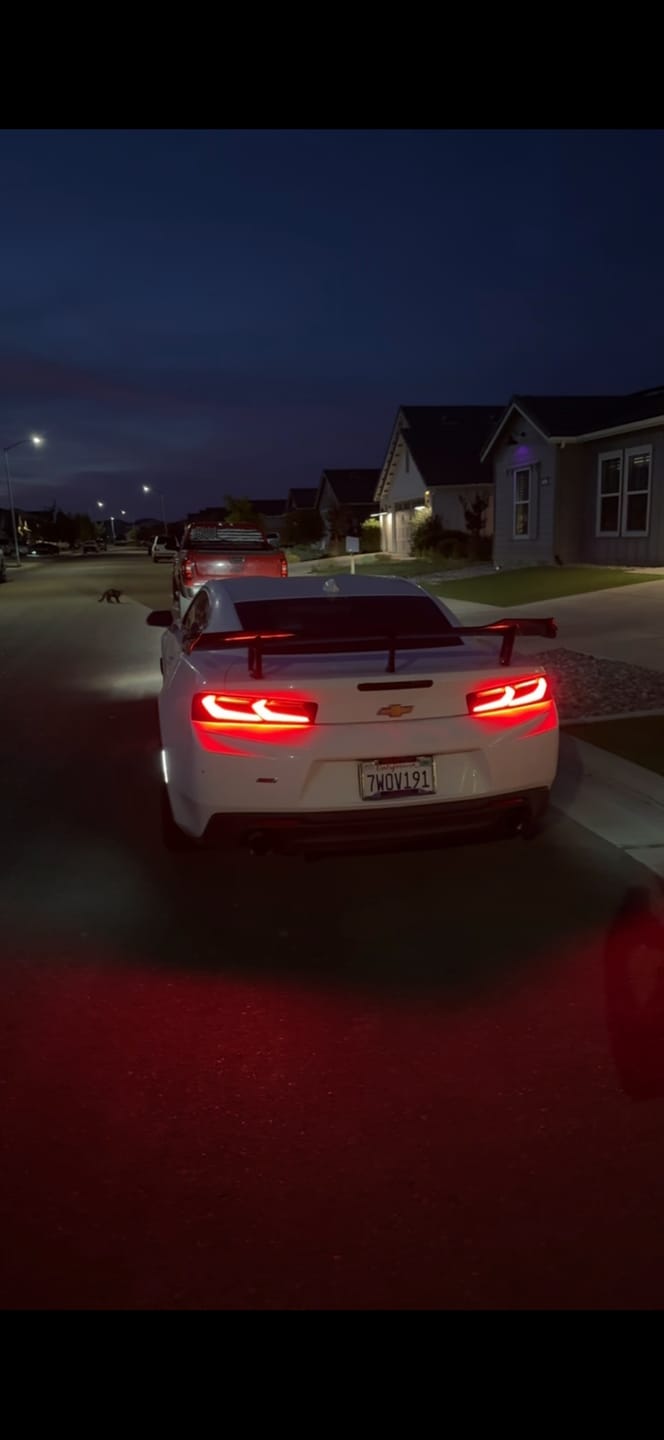 Customer photo review of 2016-2018 CHEVY CAMARO UMBRA LED TAILLIGHTS GLOSS BLACK/SMOKE LENS