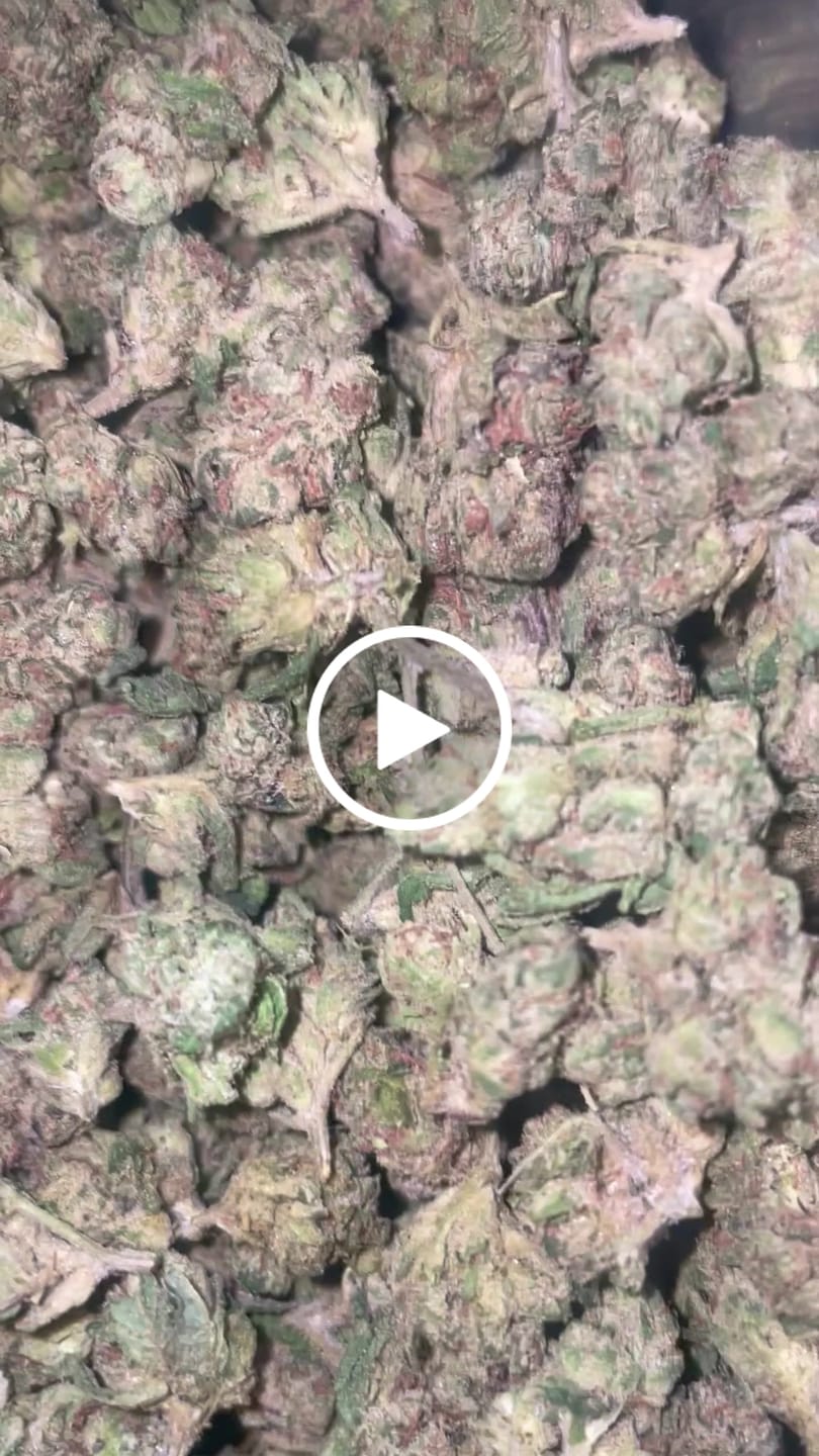 Customer video review of Cheap THCA Smalls Pound