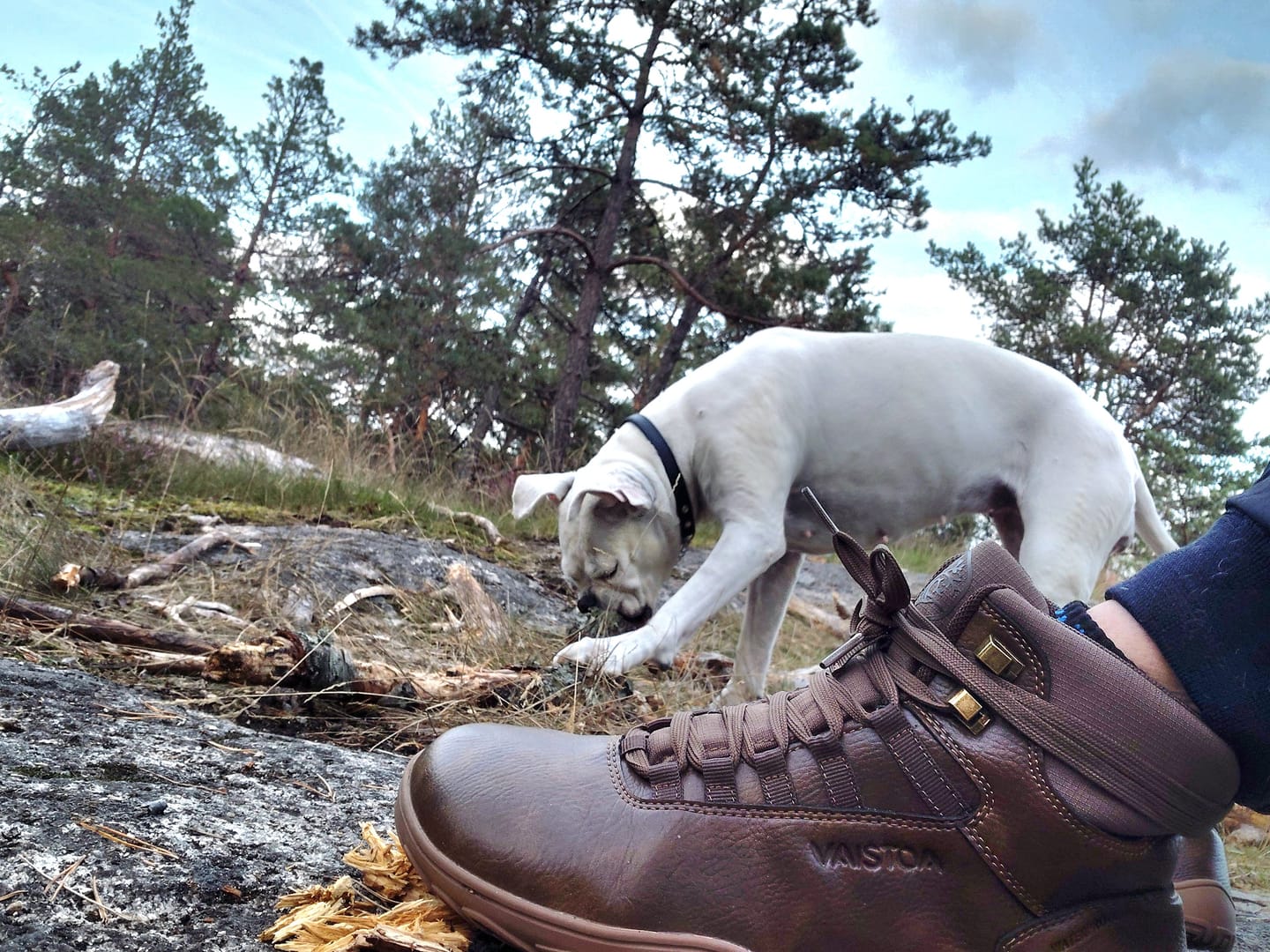Customer photo review of Vaistoa Uoma 2 | Barefoot Trekking Boots