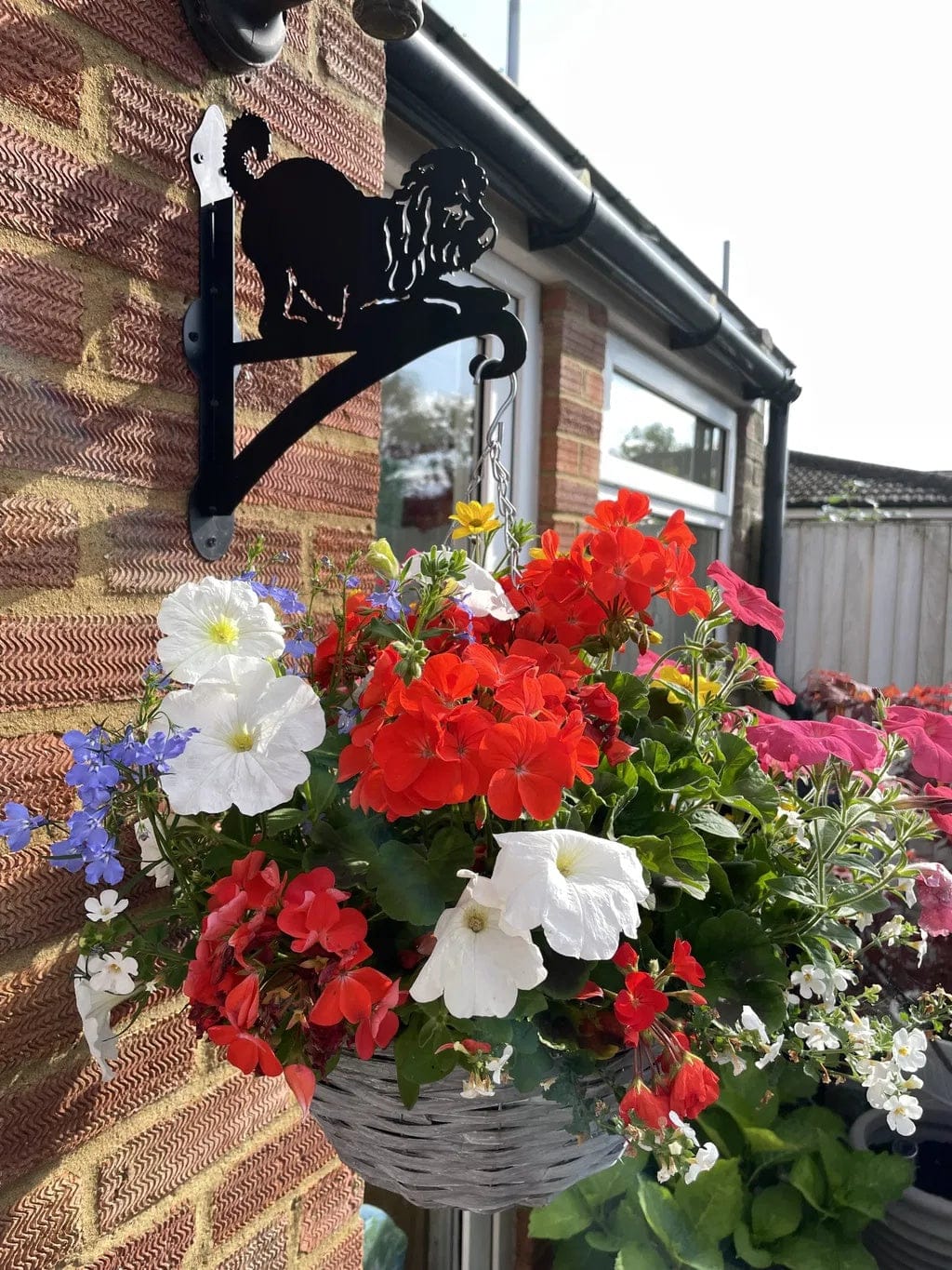 Customer photo review of Hanging Basket Bracket – Cockapoo