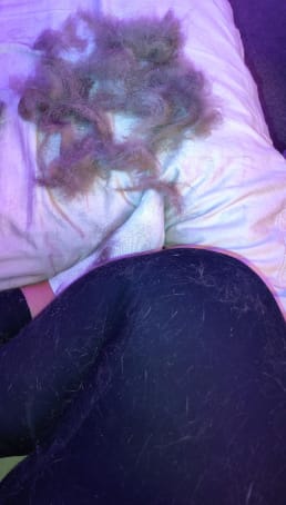 Customer photo review of CleanPaws™ Peluqueria Profesional en Casa