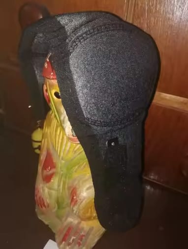 Customer photo review of Orejeras para Perros con Reducción de Ruido