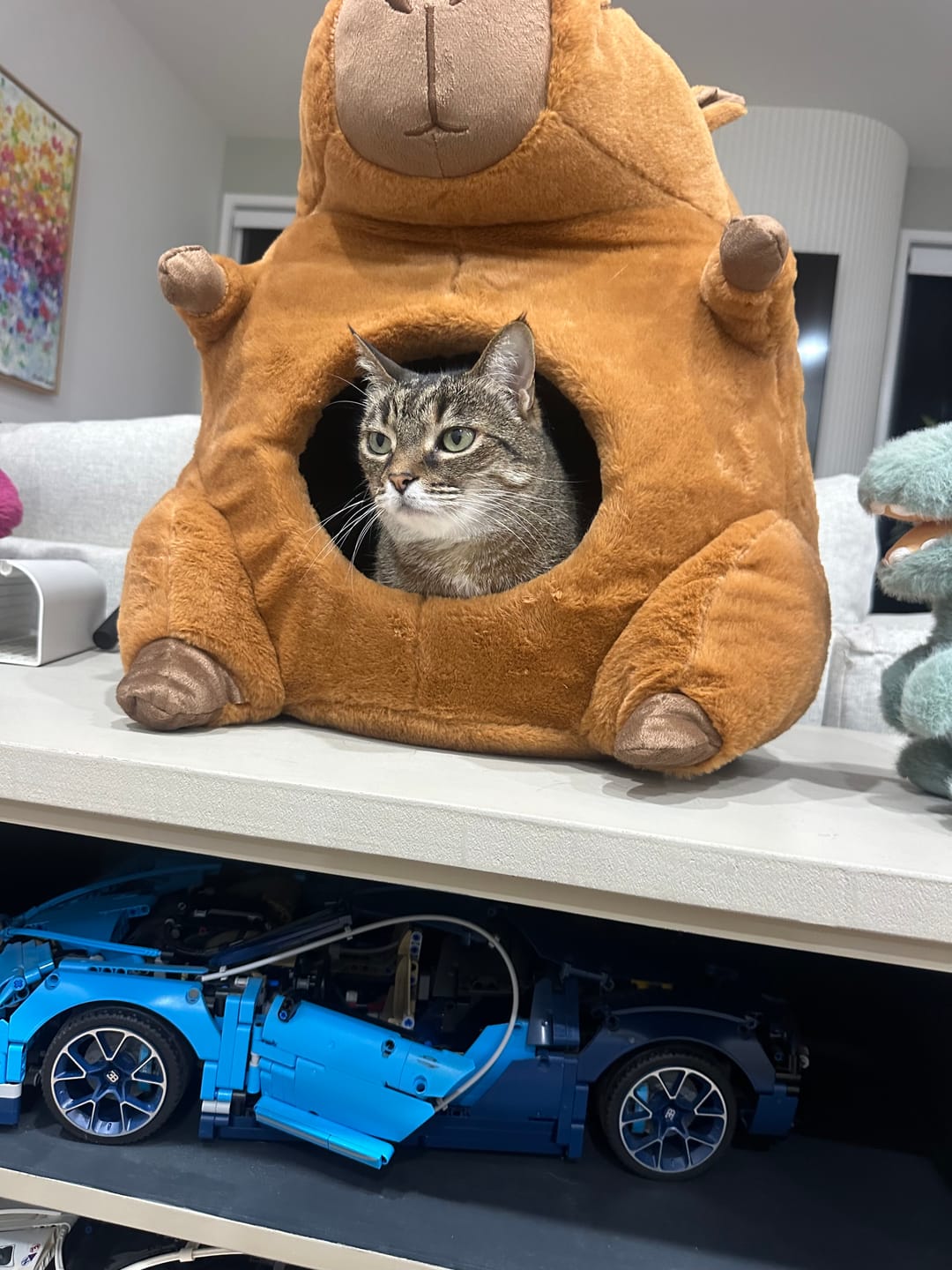 Customer photo review of Cartoon Plush Cat Cave – Capybara & Avocado-Inspired Soft Pet Bed Hideaway