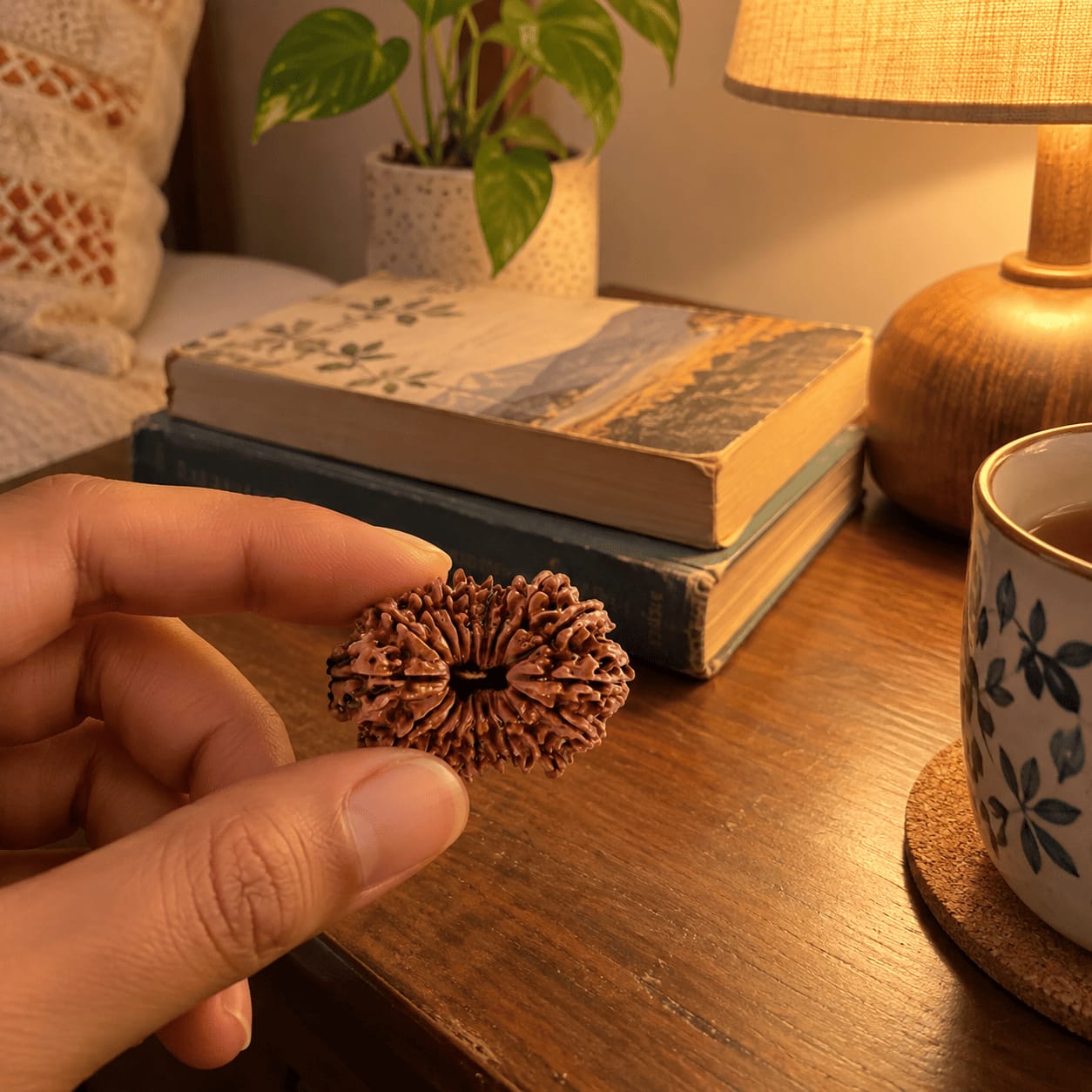 Customer photo review of Original 16 Mukhi Rudraksha (Nepali)