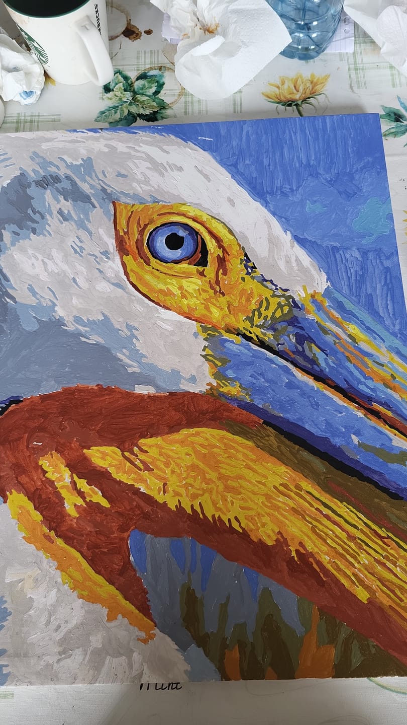 Customer photo review of Pelican Portrait | Paint by Number