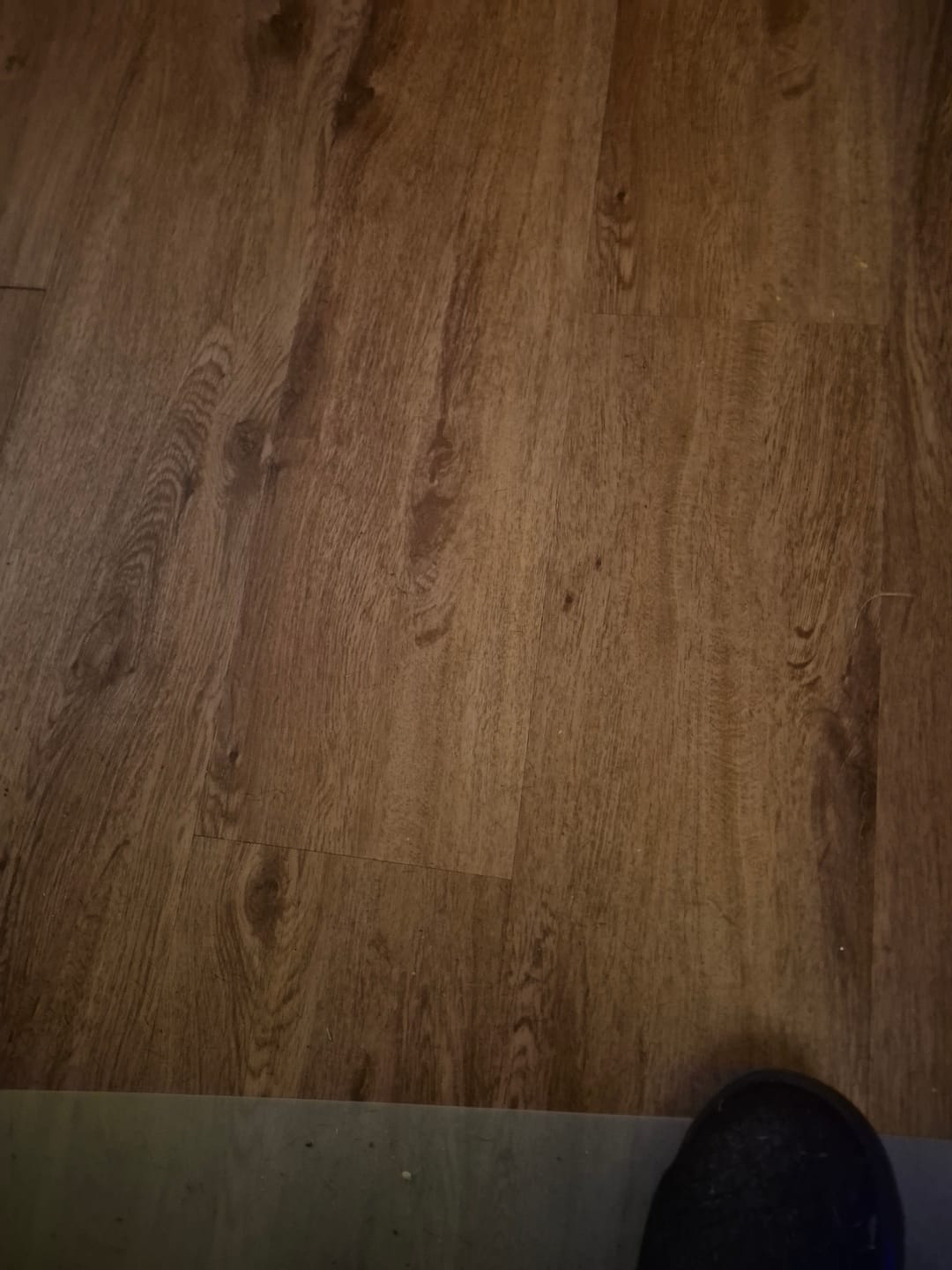 Customer photo review of Dog Care Book (Instant Download)