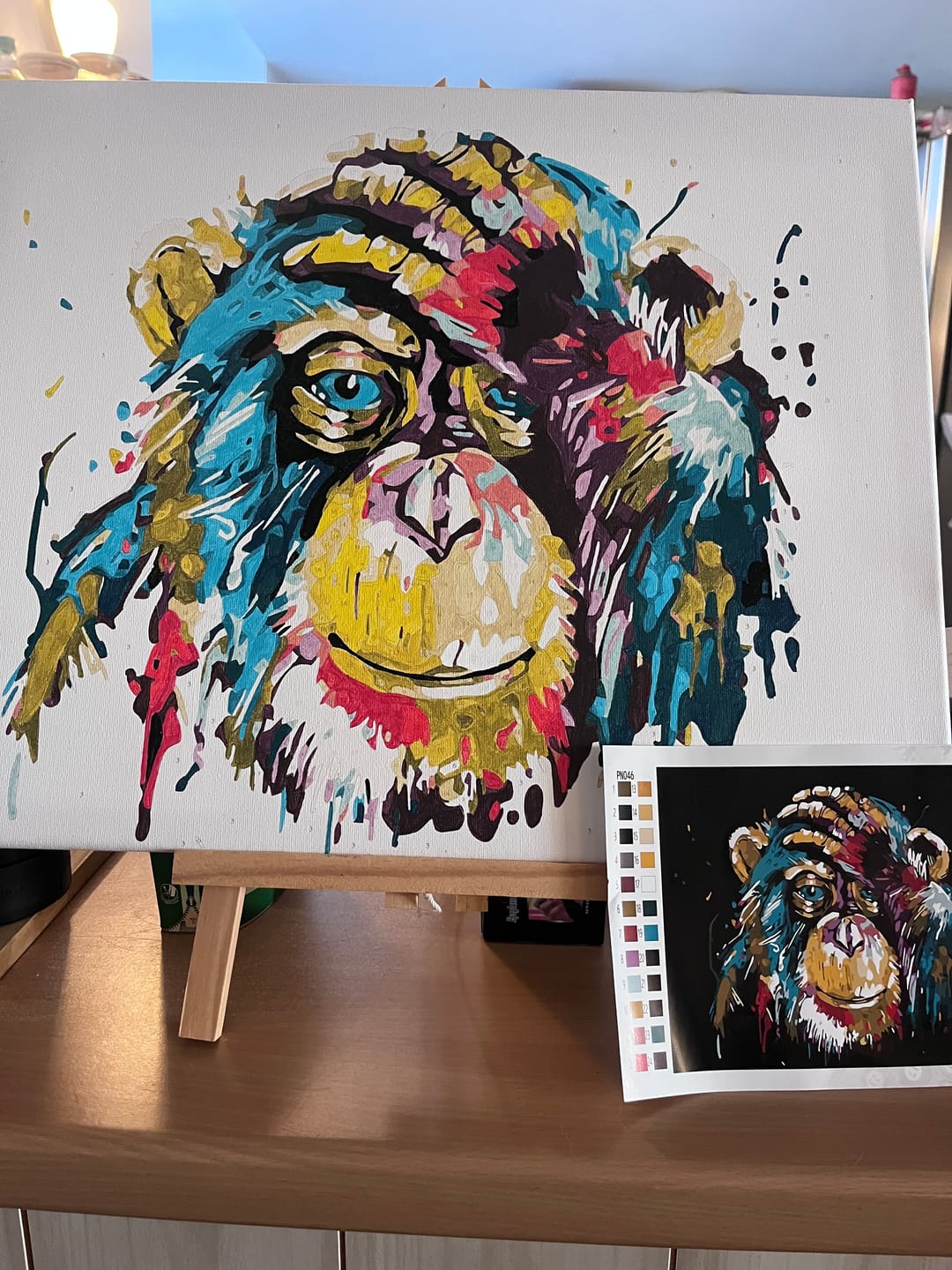 Customer photo review of Babouin Pop Art